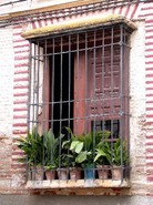 alcazar3.jpg