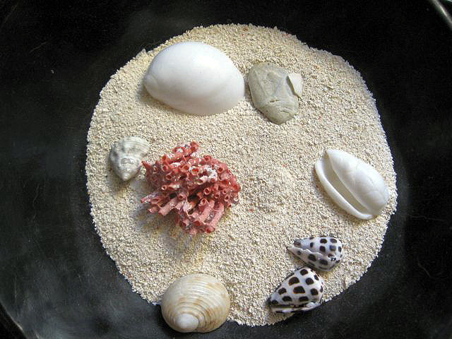 Collezione di sabbia