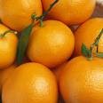 arancia 